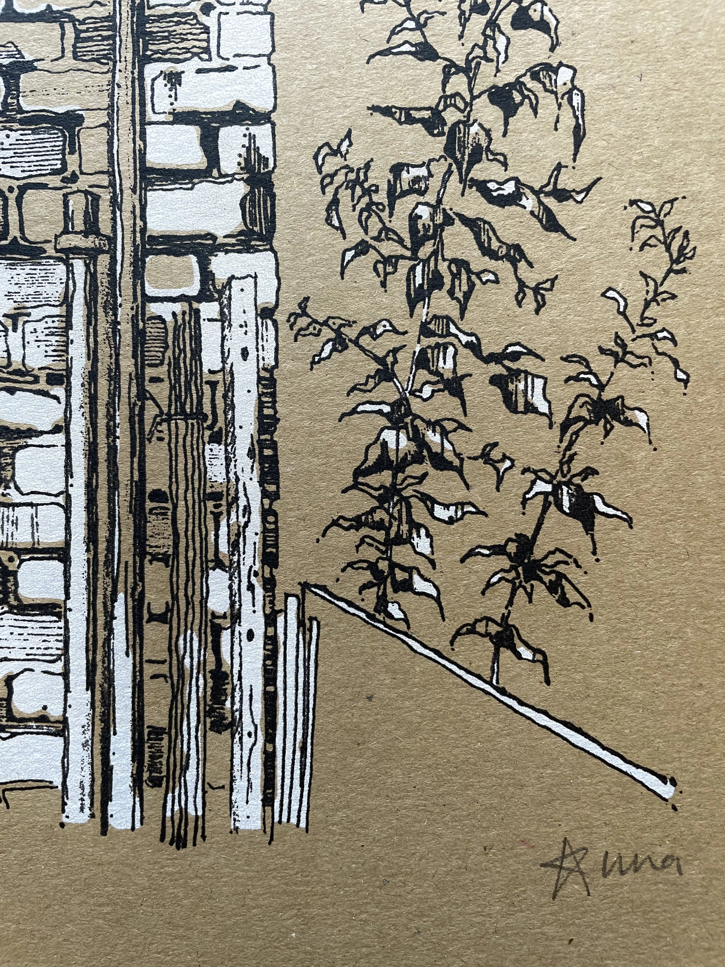Anna Elcock // A Corner of APG — APG WORKS